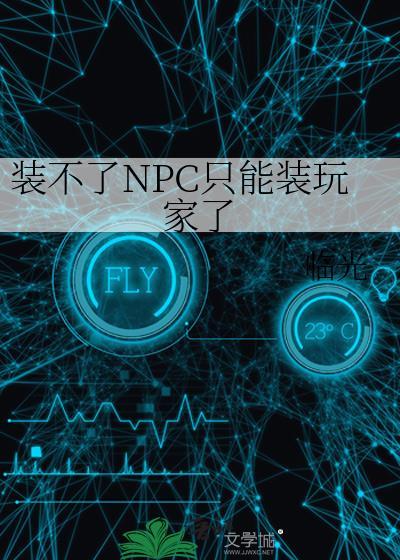 装不了NPC只能装玩家了封面
