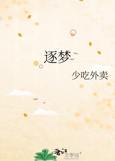 逐梦封面