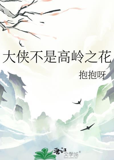 大侠不是高岭之花封面