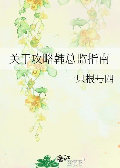关于攻略韩总监指南封面