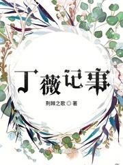 丁薇记事封面