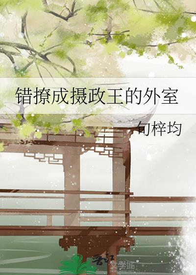 错撩成摄政王的外室封面