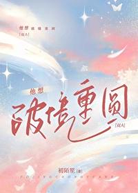他想破镜重圆封面