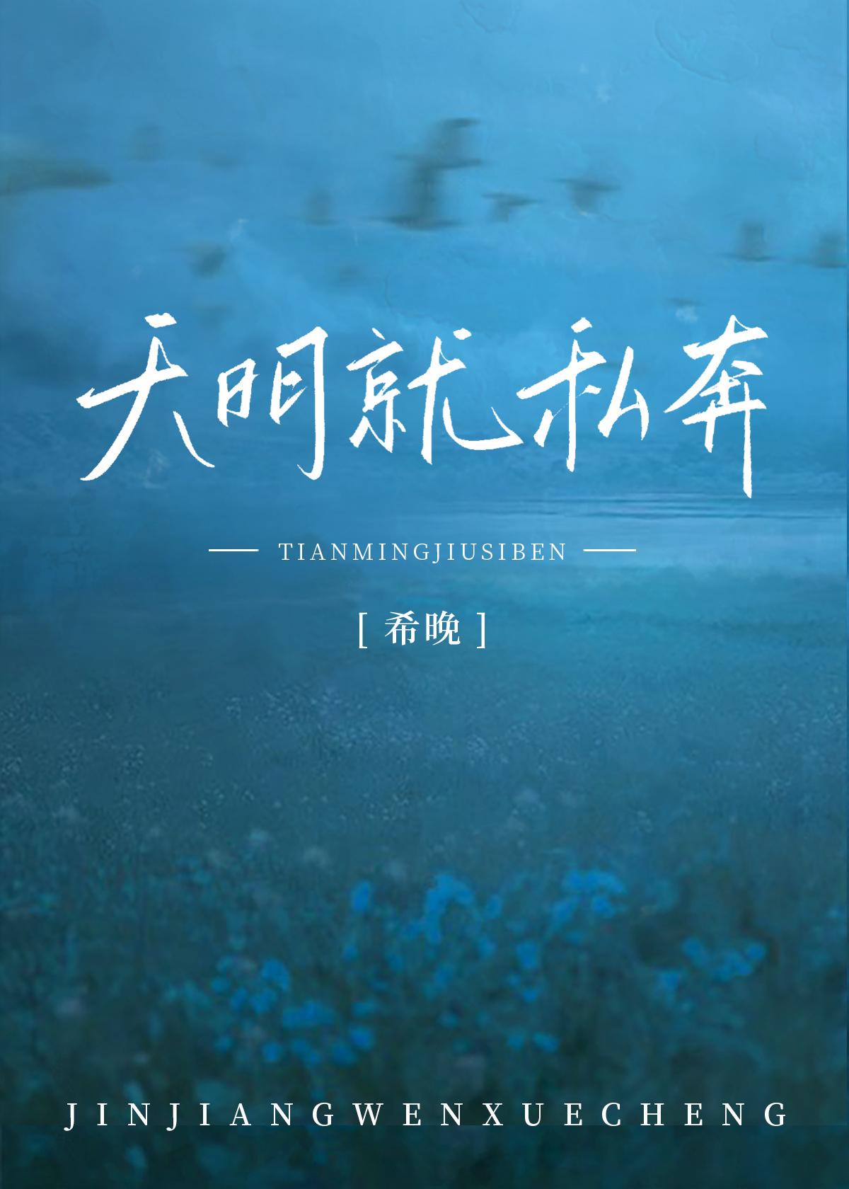 天明就私奔封面