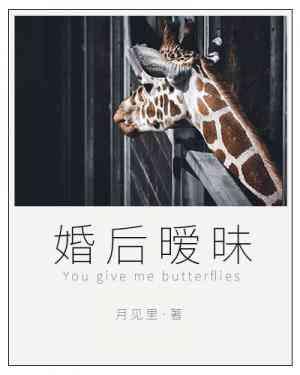 婚后暧昧封面