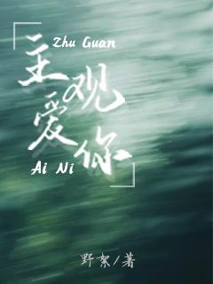 主观爱你封面