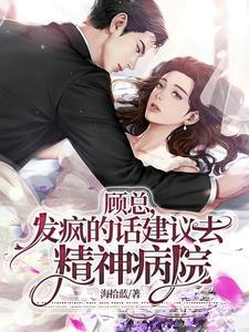 顾总,发疯的话建议去精神病院封面