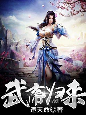 武帝归来封面