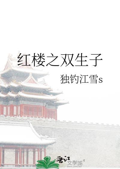 红楼之双生子封面
