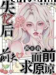 失忆后,前夫哥跪在我面前求原谅封面
