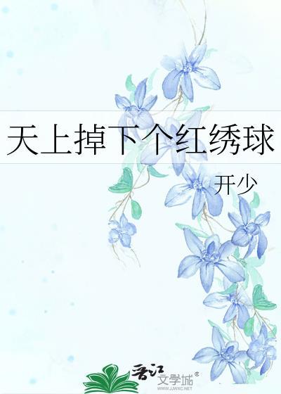 天上掉下个红绣球封面