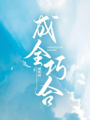 成全巧合封面