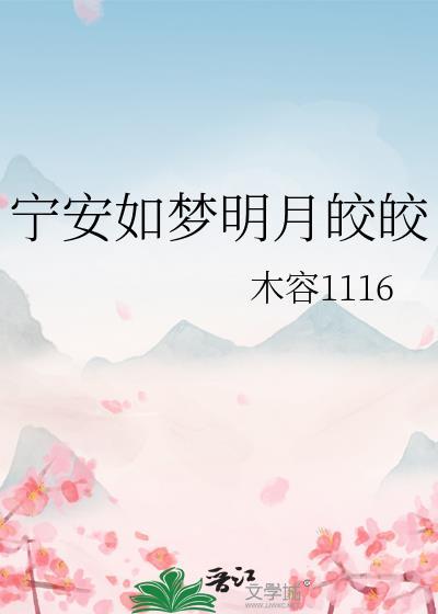 宁安如梦明月皎皎封面