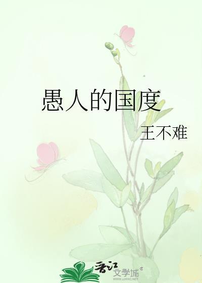 愚人的国度封面
