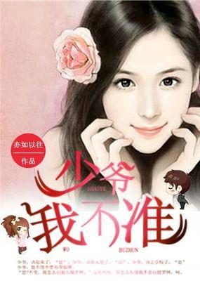 少爷，我不准封面