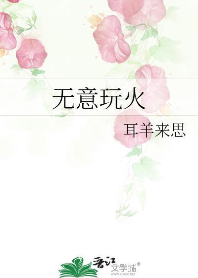 无意玩火封面