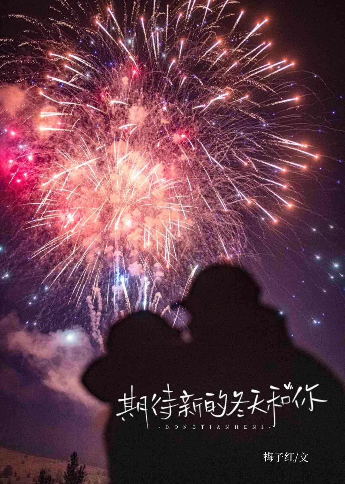 期待新的冬天和你封面
