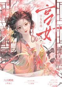 宫女在逃封面