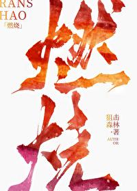 燃烧封面