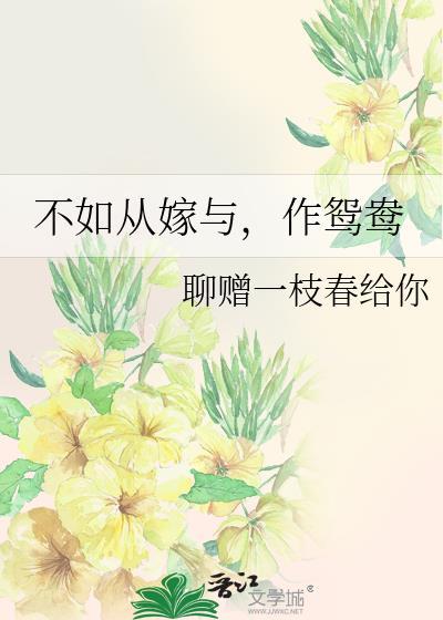 不如从嫁与,作鸳鸯封面