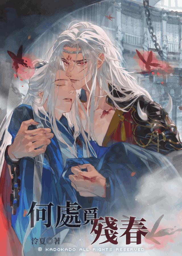 何处觅残春封面