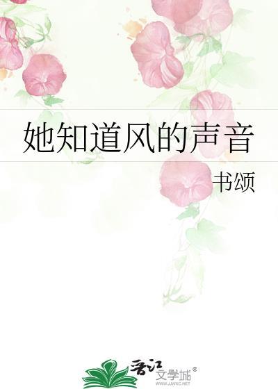 她知道风的声音封面