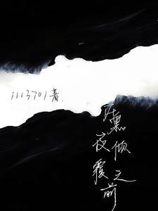 在黑夜倾覆之前封面
