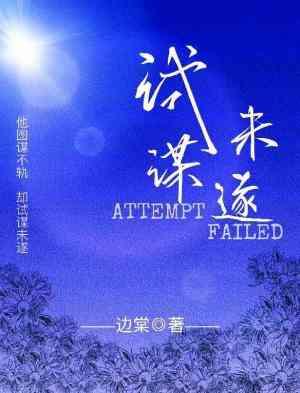 试谋未遂封面