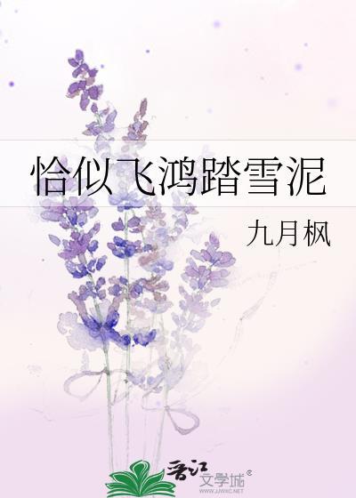 恰似飞鸿踏雪泥封面