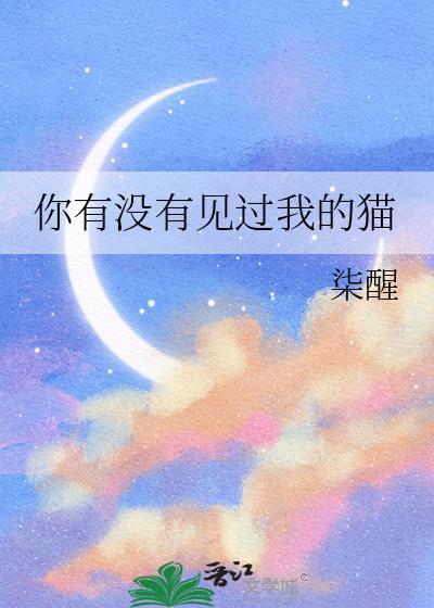你有没有见过我的猫封面