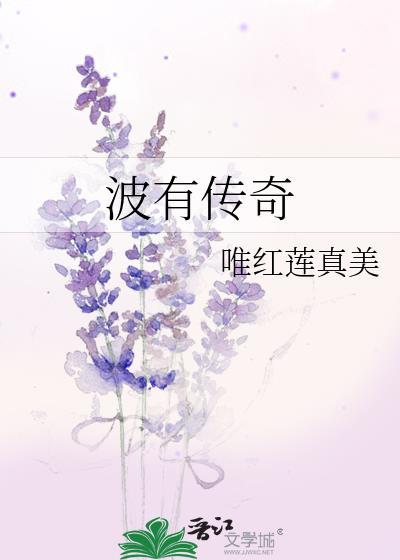 波有传奇封面