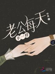 老公每天不一样封面