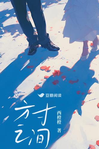 方寸之间封面