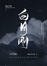白月刚封面