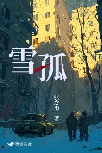 雪孤封面