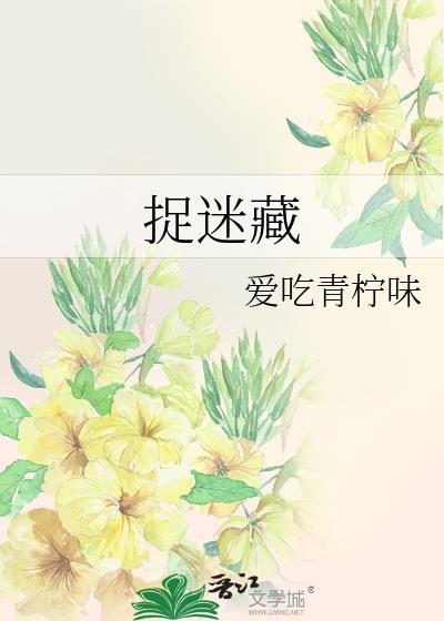 捉迷藏封面