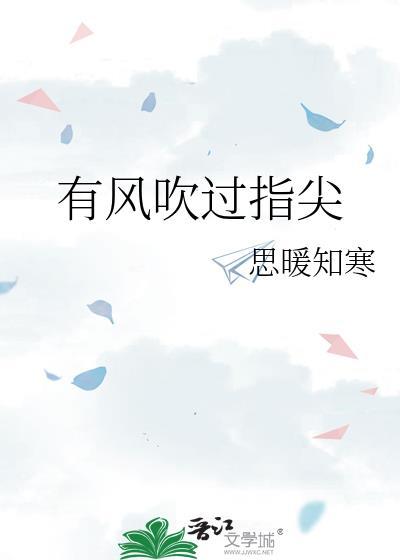 有风吹过指尖封面