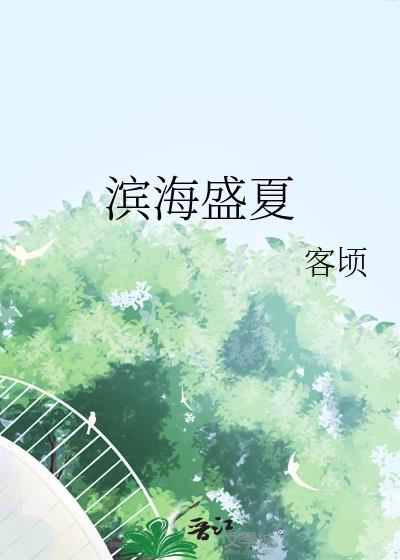滨海盛夏封面