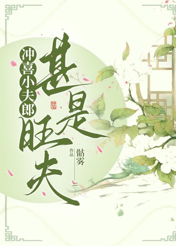 冲喜小夫郎封面
