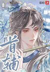 女扮男装升官指南封面