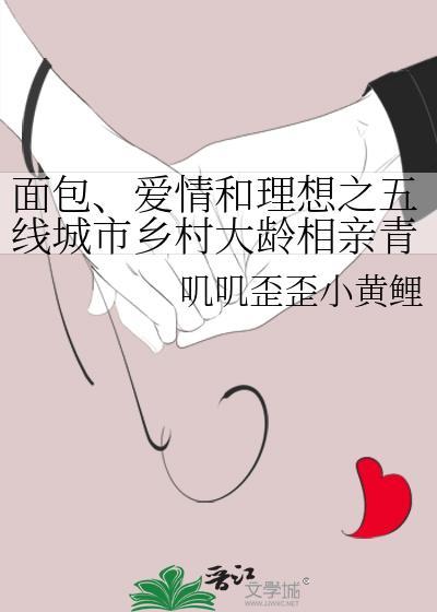 面包、爱情和理想之五线城市乡村大龄相亲青年的爱情故事封面