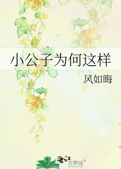小公子为何这样封面