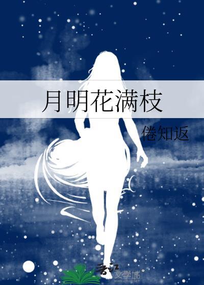 月明花满枝封面