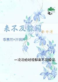 来不及躲闪封面