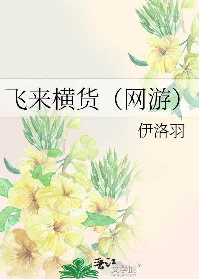飞来横货(网游)封面
