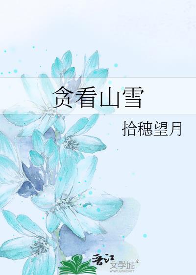 贪看山雪封面