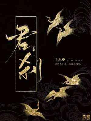 君剎封面