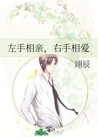 左手相亲,右手相爱封面