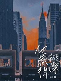 他藏得挺深封面