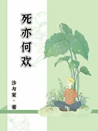 死亦何欢封面